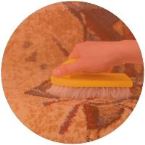 rugs cleaning