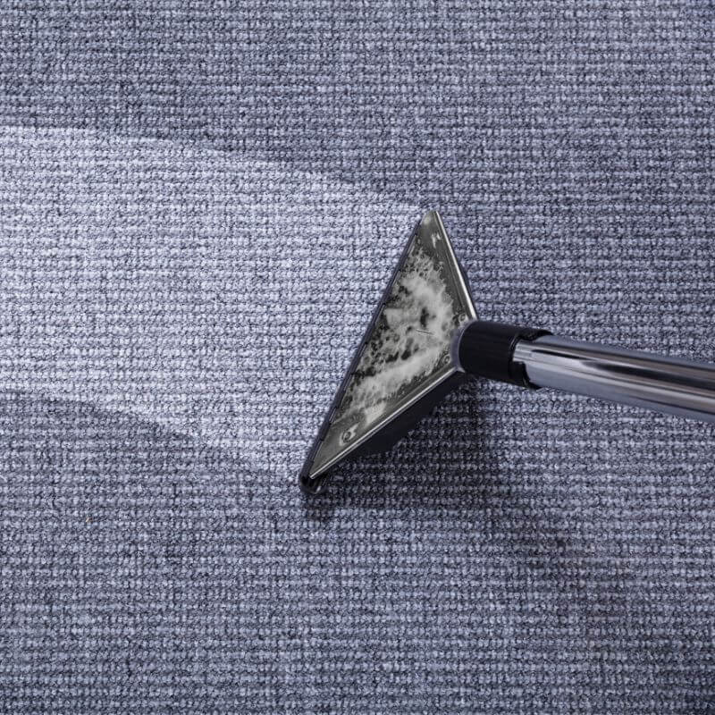 Carpet cleaning machine in action by Kairos Upholstery in Pretoria