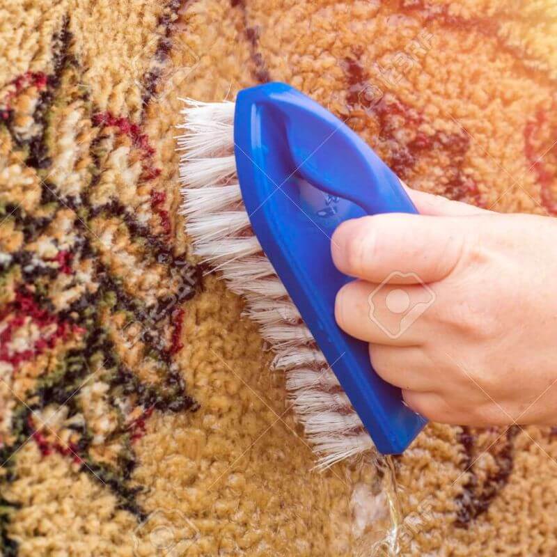 A hand with a brush cleaning a Persian rug, showcasing Kairos Upholstery's professional rugs cleaning services in Pretoria.
